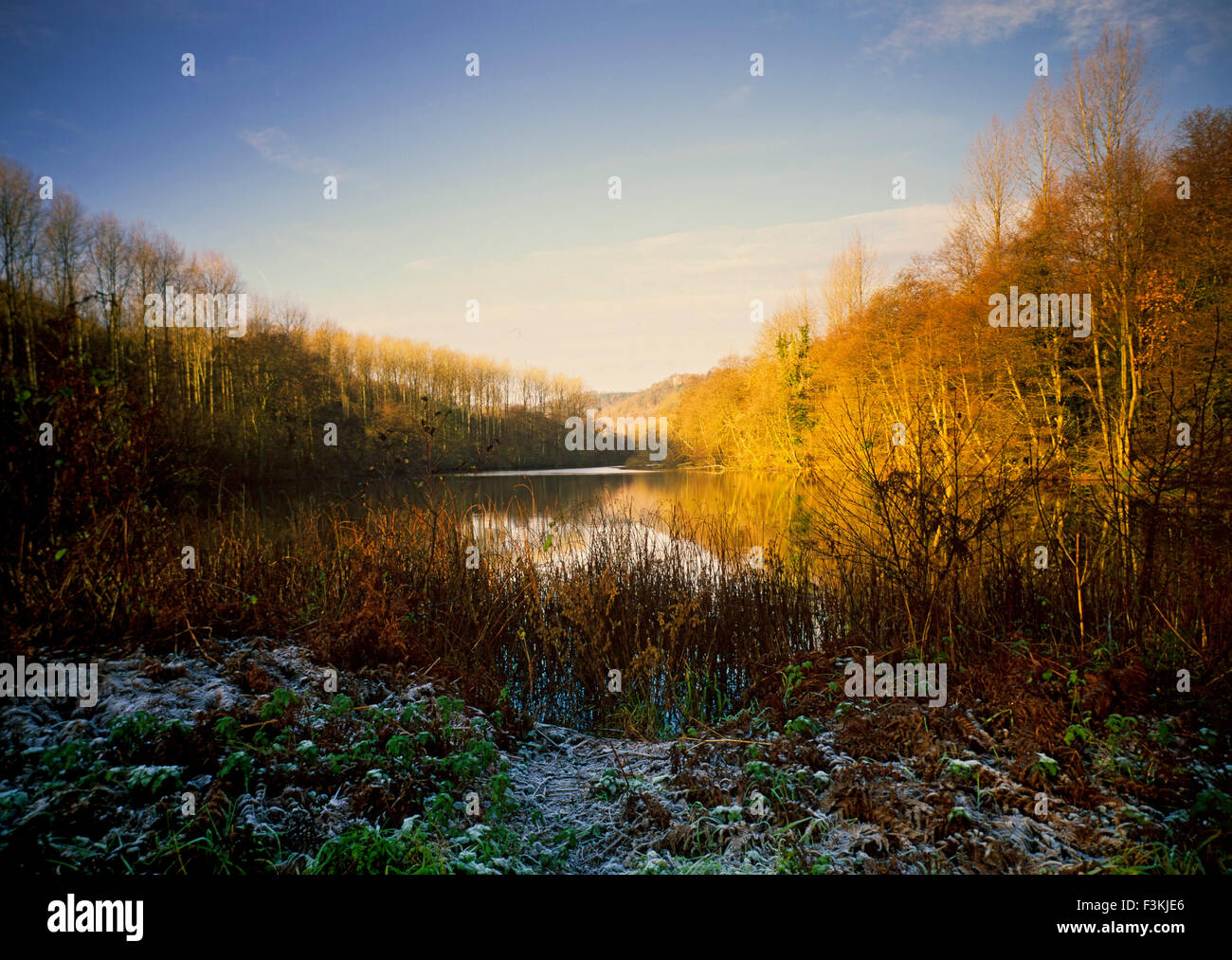 Lake in Woodchester Park, Gloucestershire Stock Photo
