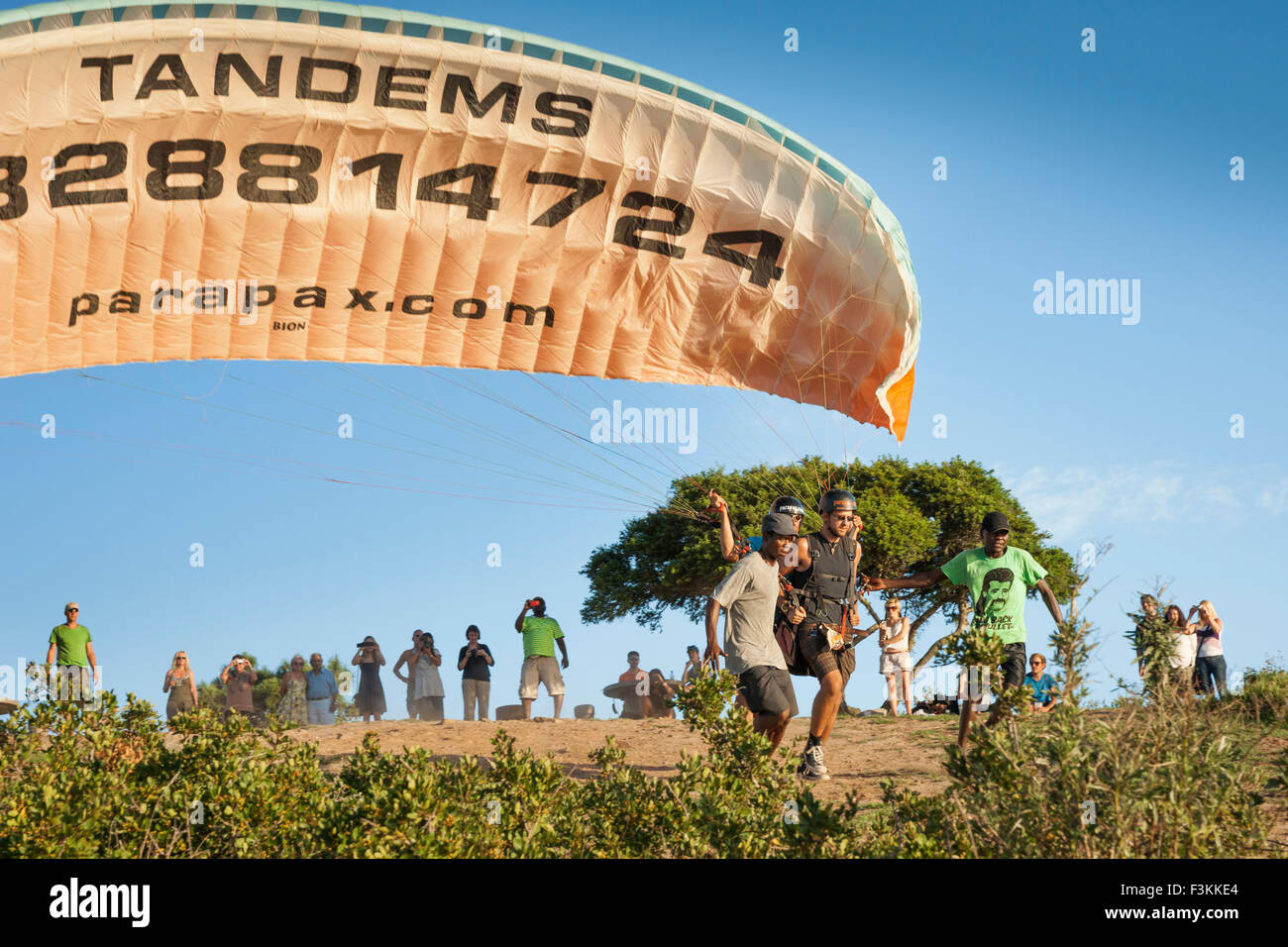 People are paragliding off Signal Hill at sunset, Table Mountain National Park, Cape Town, South Africa Stock Photo
