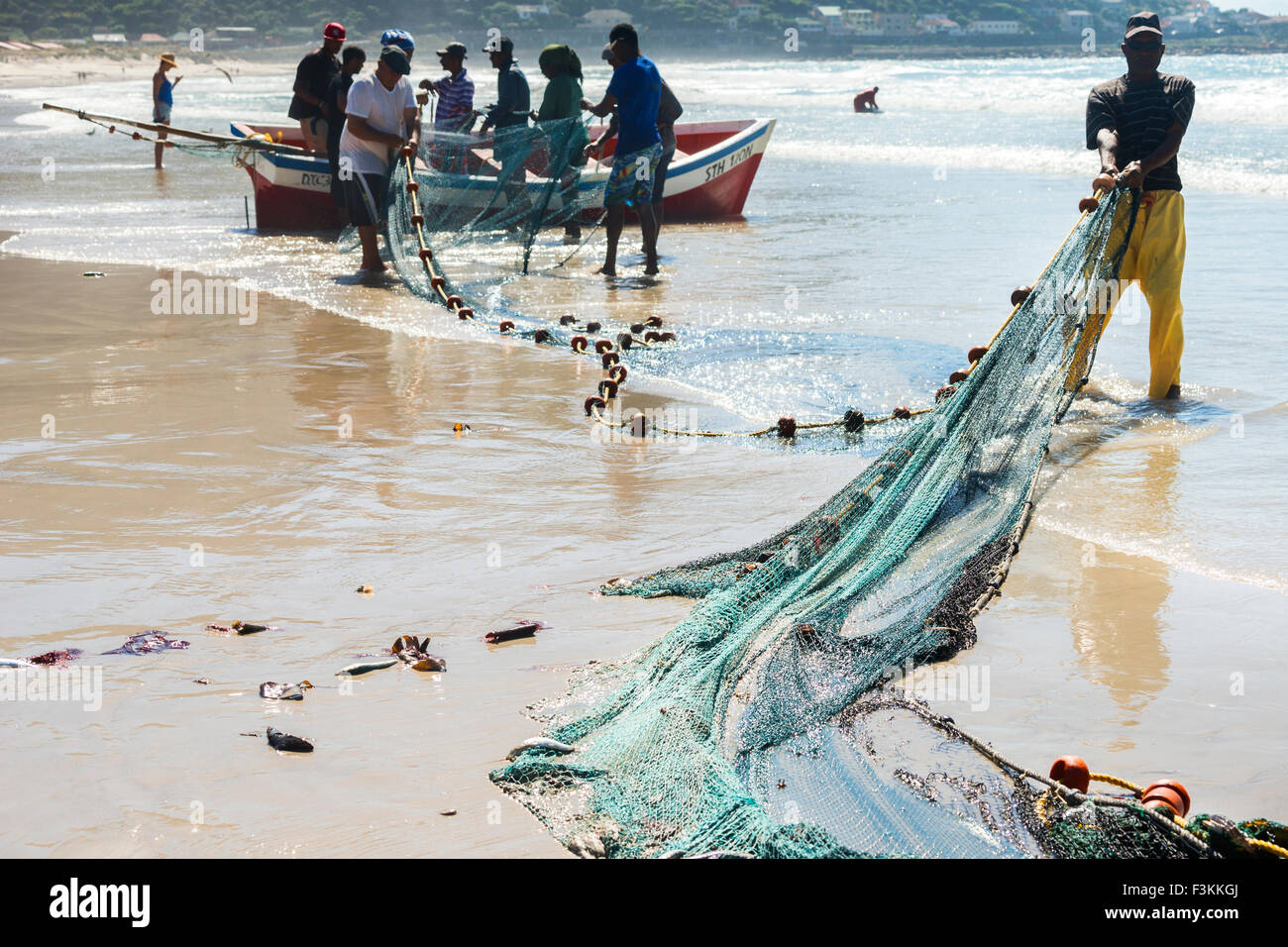 Group of Fisherman Pull Fish Net Editorial Photography - Image of nets,  colorful: 38093492