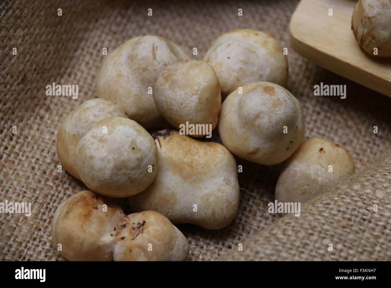 Dried Paddy Straw Mushrooms chinese foods