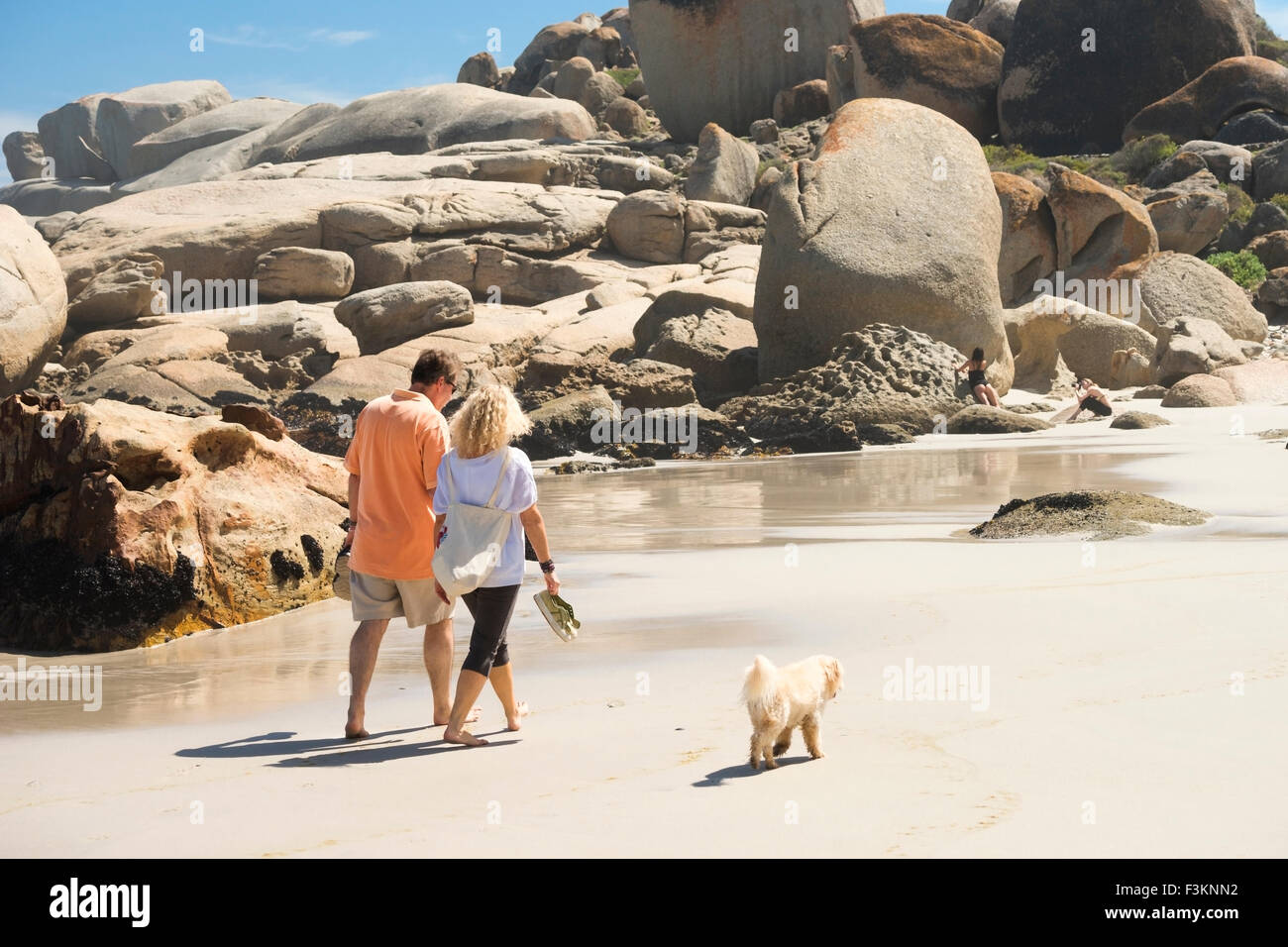 Couple walk their dog on sand at Llandudno cove beach, Cape Town, South