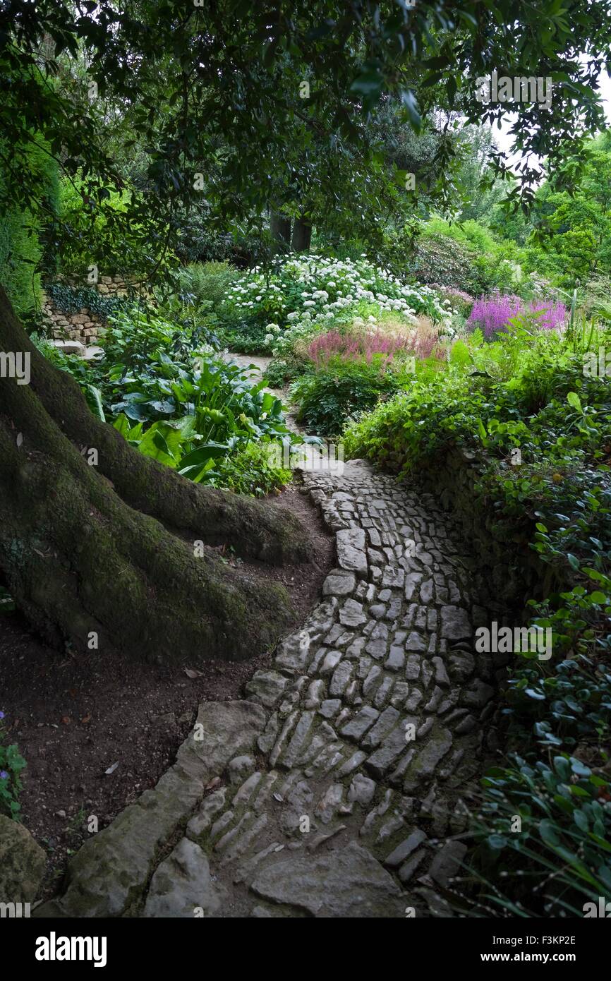 Stone path winding around a Holm Oak tree, English garden. Stock Photo