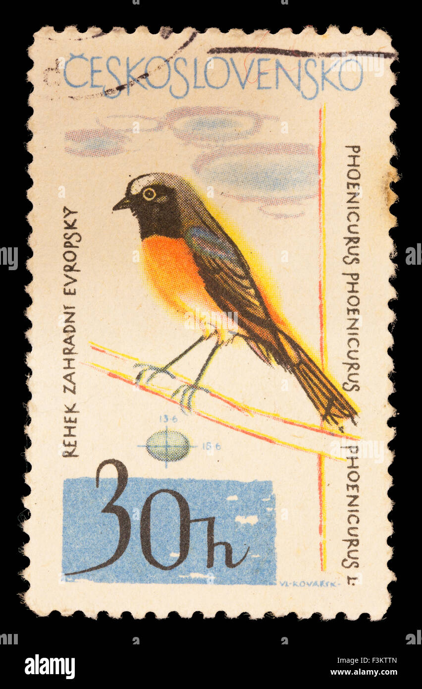 CZECHOSLOVAKIA - CIRCA 1964: A postage stamp printed in Czechoslovakia shows a common redstart, Phoenicurus phoenicurus Stock Photo