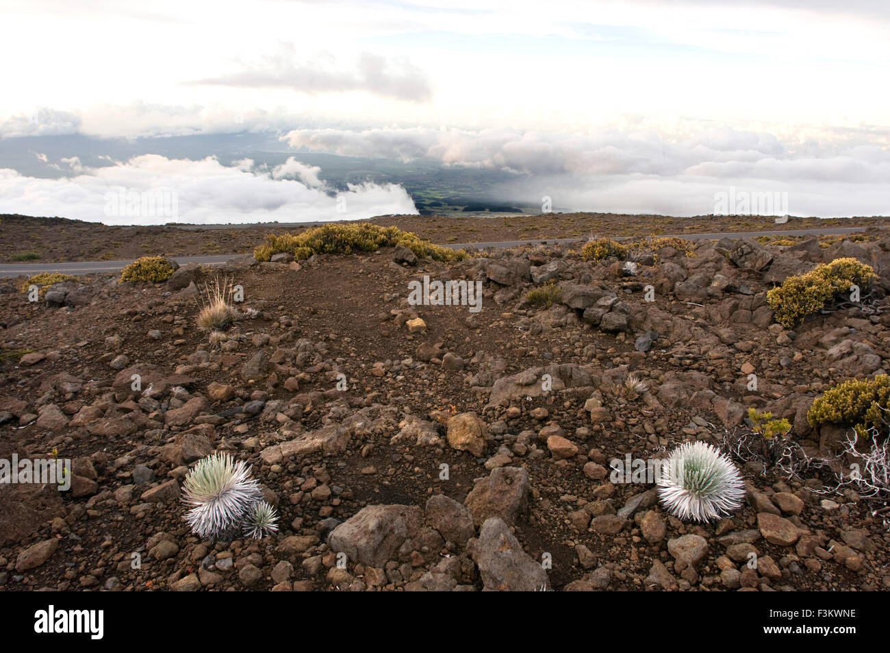 Cinder cones in the Haleakala National Park. Views from the viewpoint