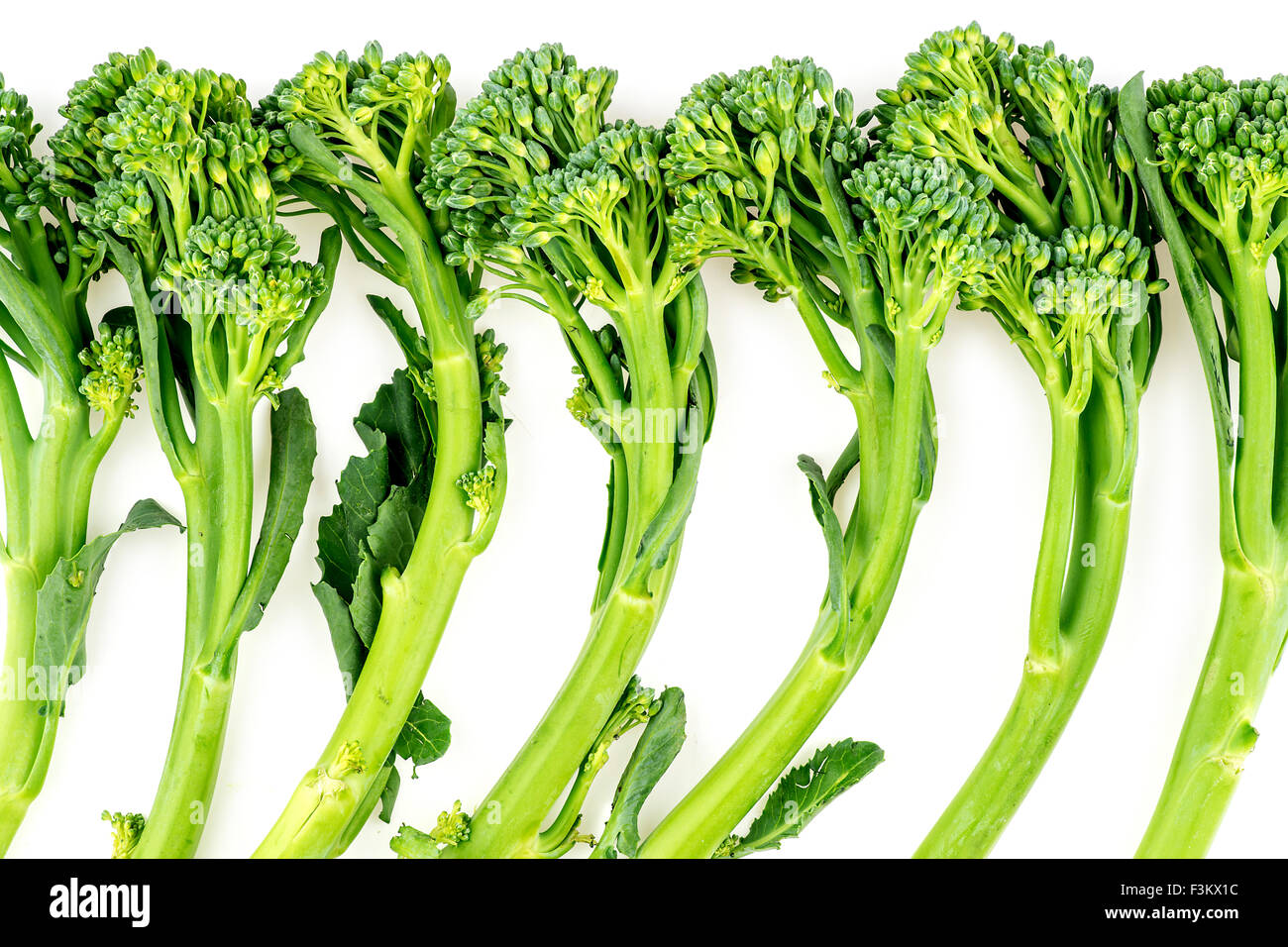 Baby broccoli background texture Stock Photo