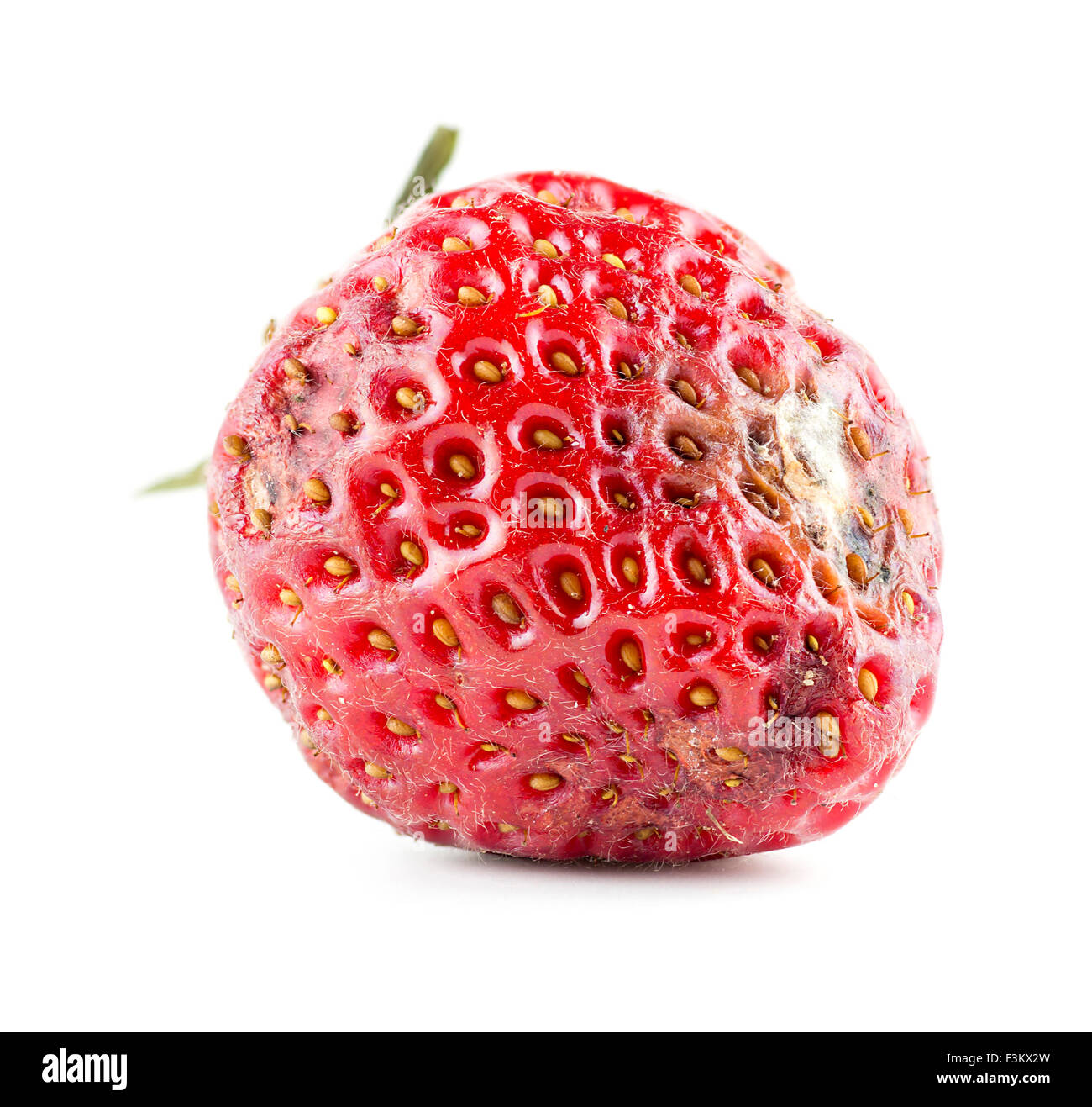 4,732 Strawberry Mold Images, Stock Photos, 3D objects, & Vectors