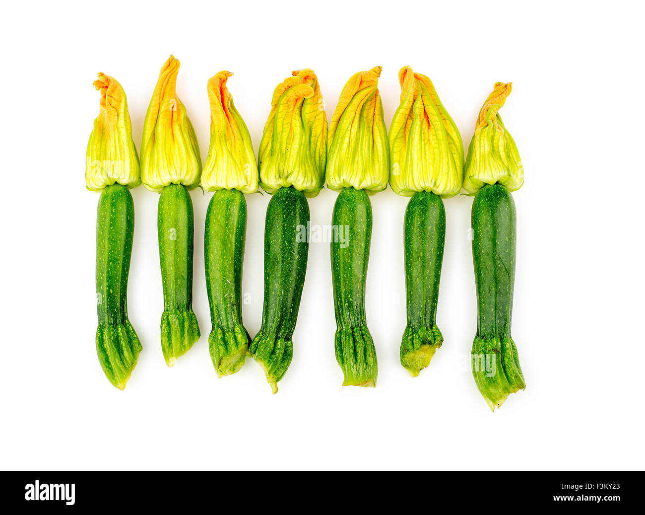Group of zucchini flowers studio top shot Stock Photo