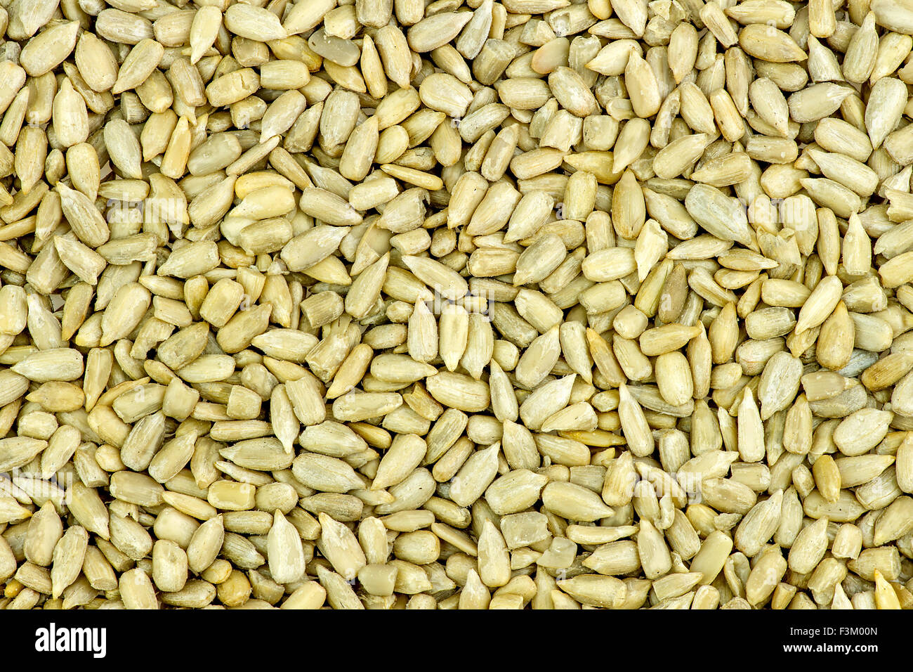 Macro background texture of tasty fresh sunflower seeds Stock Photo