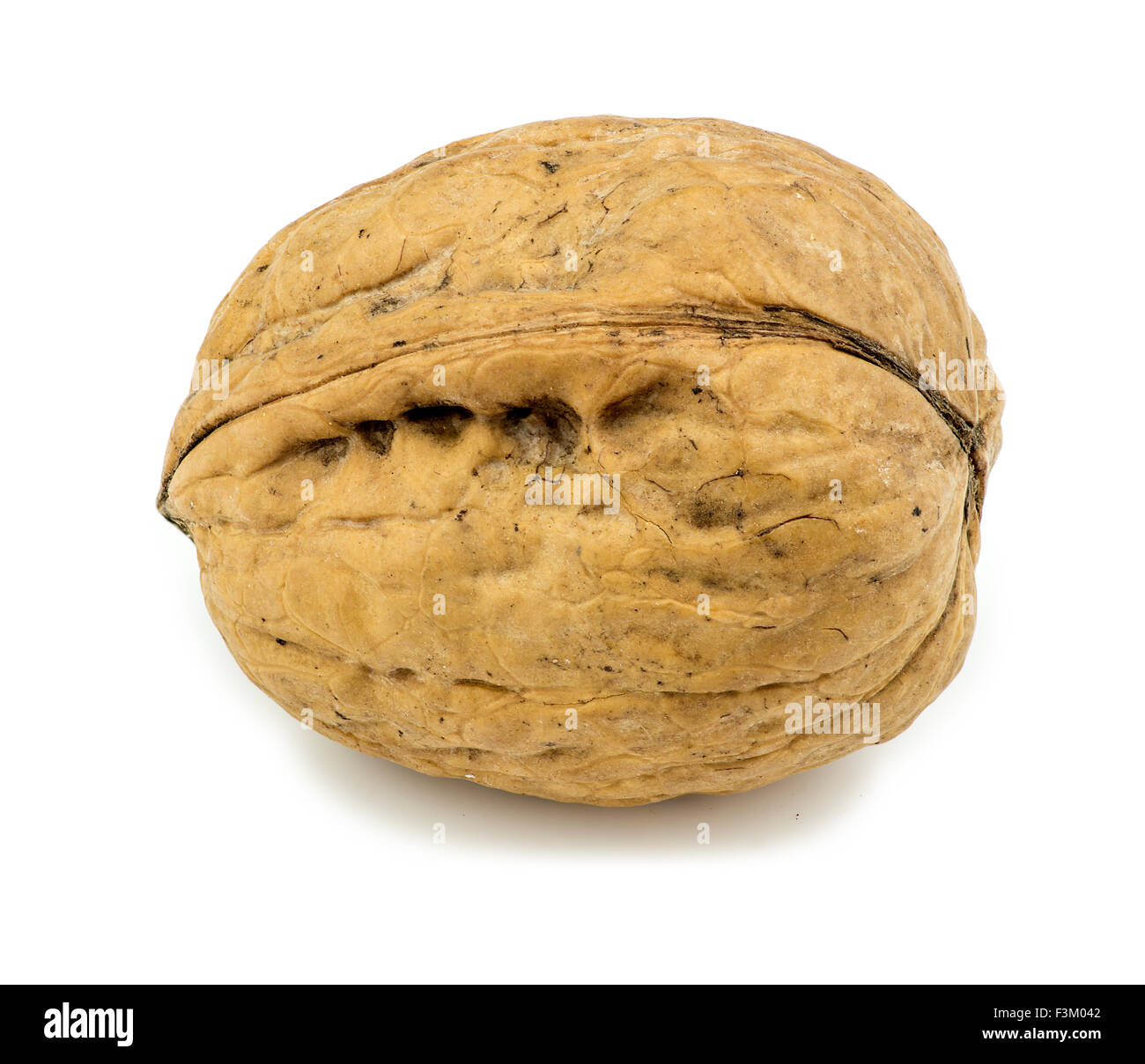 Macro closeup of unshelled walnut isolated on white Stock Photo