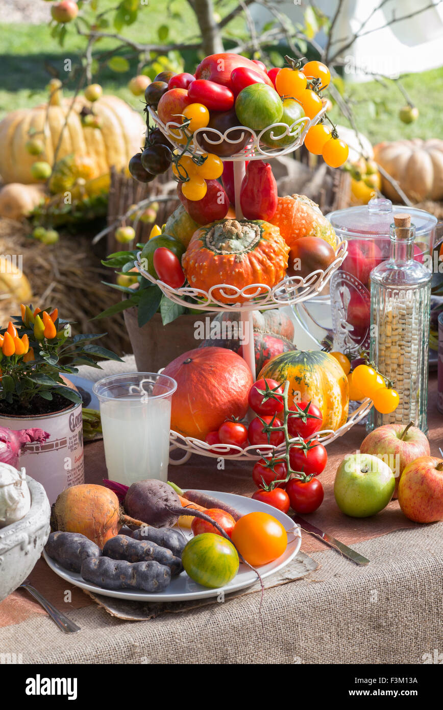 Vegetable and fruit display table at an Autumn Show. UK Stock Photo