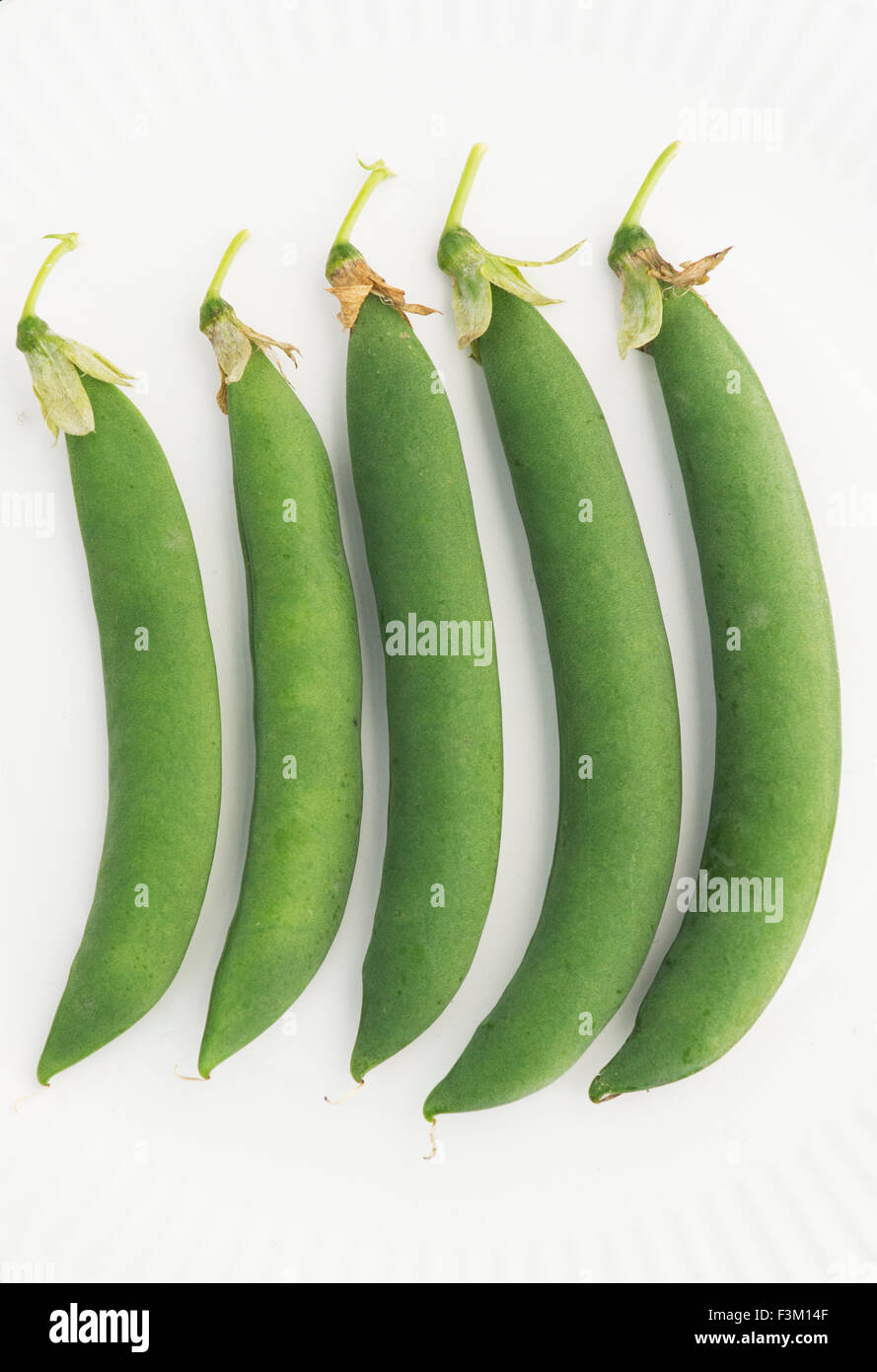 Autumn show pea pods on a plate at an Autumn Show. UK Stock Photo