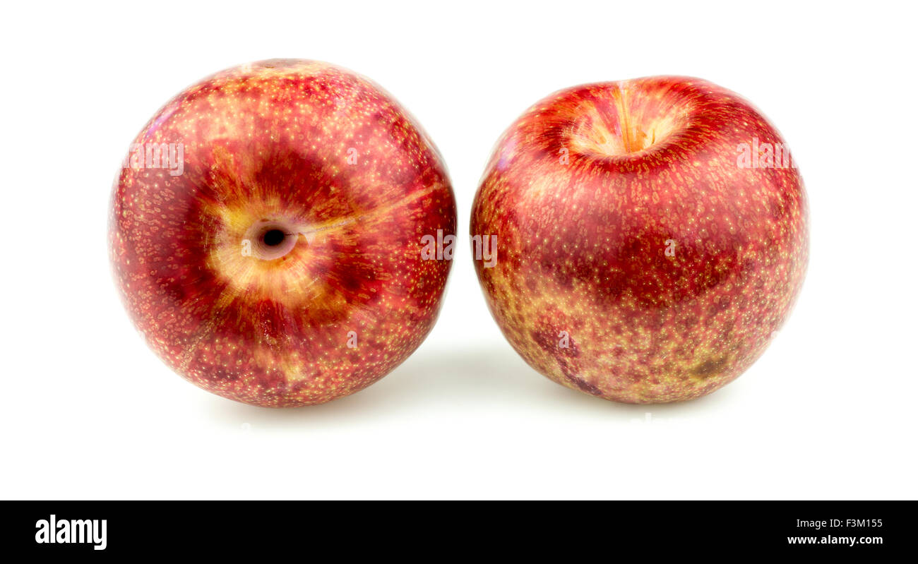 Pair of pluot apricot plums Stock Photo