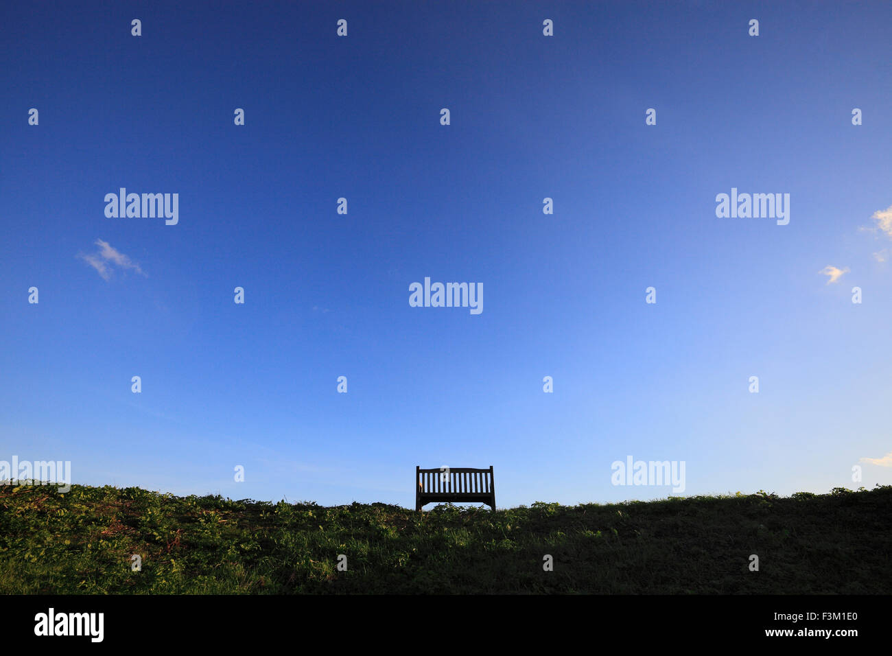 A wooden bench and a big blue clear sky. Stock Photo