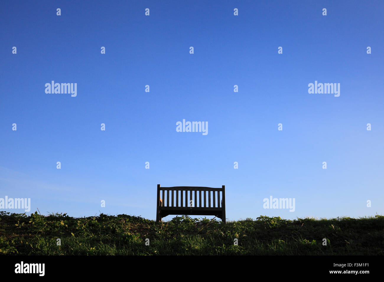 A wooden bench and a big blue clear sky. Stock Photo