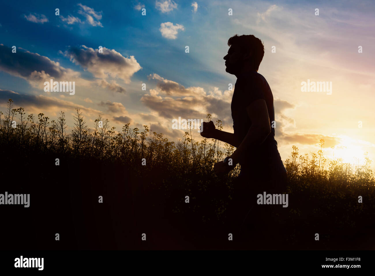 Runnerr Fitness silhouette athlete runner hi-res stock photography and images ...