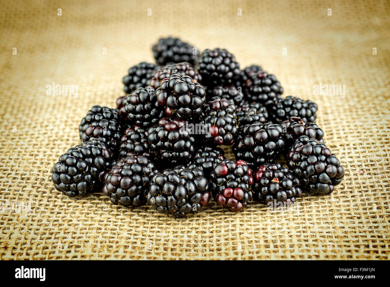 Closeup of pile of blackberries with shallow depth of field Stock Photo