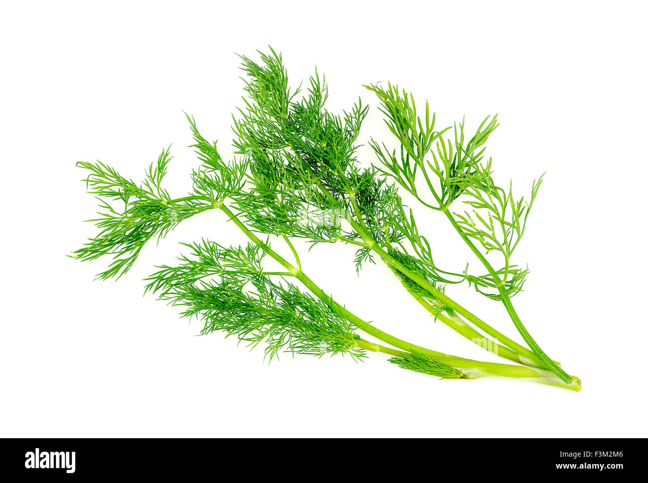 Tasty dill herb garnish isolated on white Stock Photo