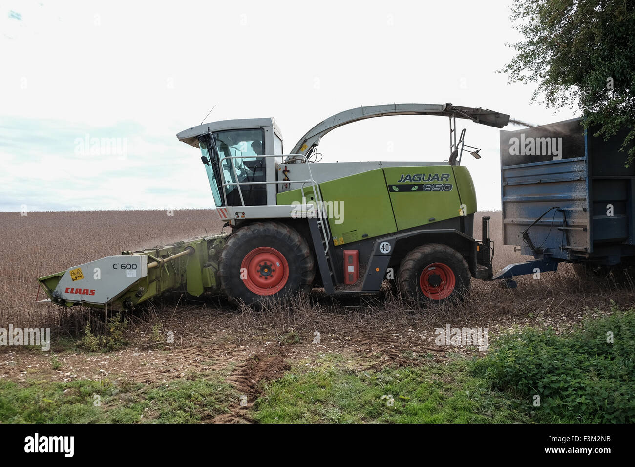 combine Harvester collecting poppy seeds Stock Photo Alamy