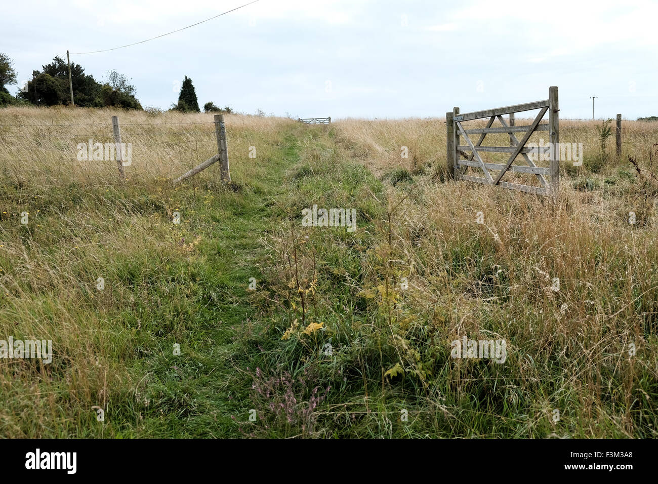 an open gate in a field Stock Photo