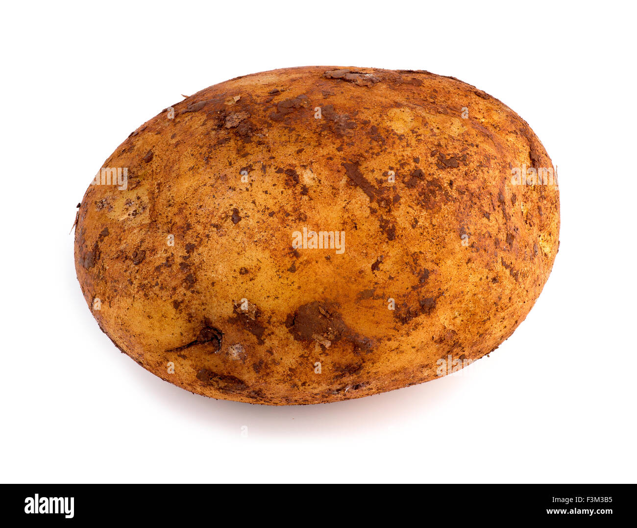 Horizontal view of freshly picked russet potato isolated against white Stock Photo