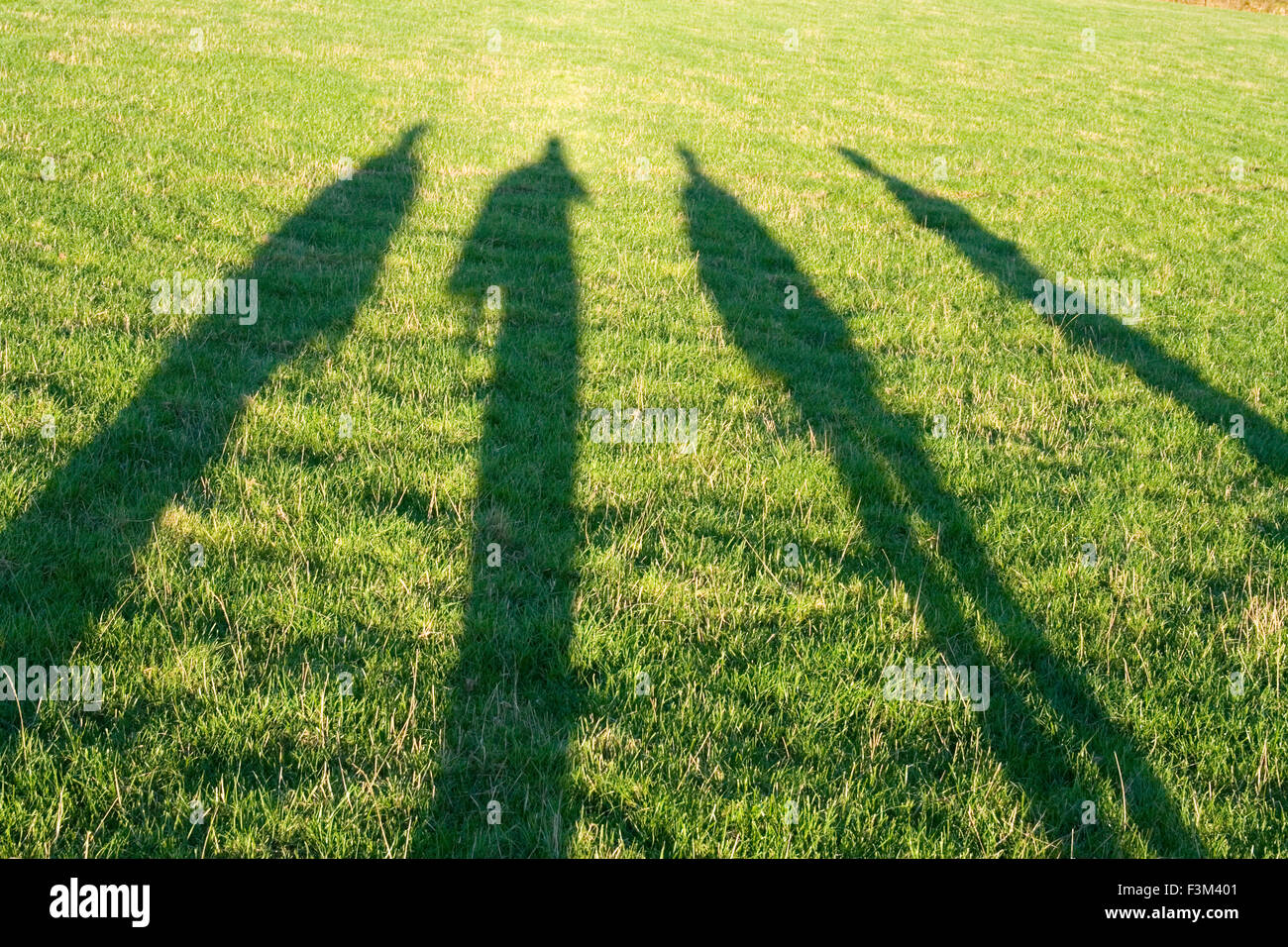 Shadows of four walkers, in a field Stock Photo