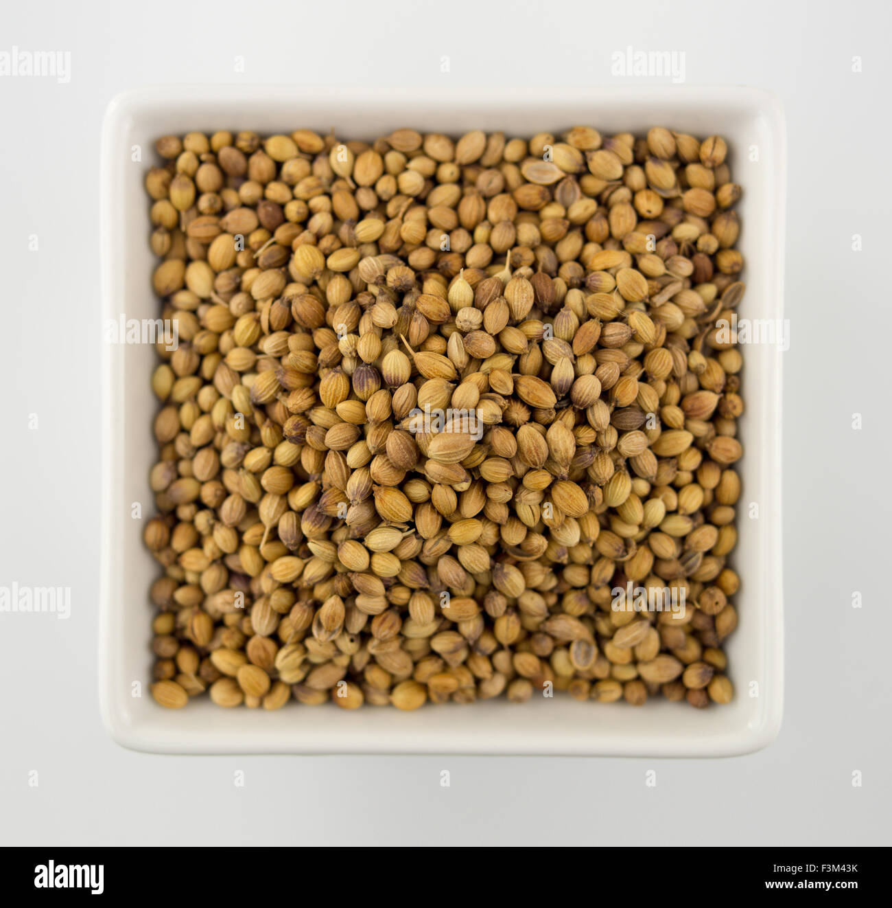 Overhead shot of coriander seeds in a square bowl isolated on a white background Stock Photo