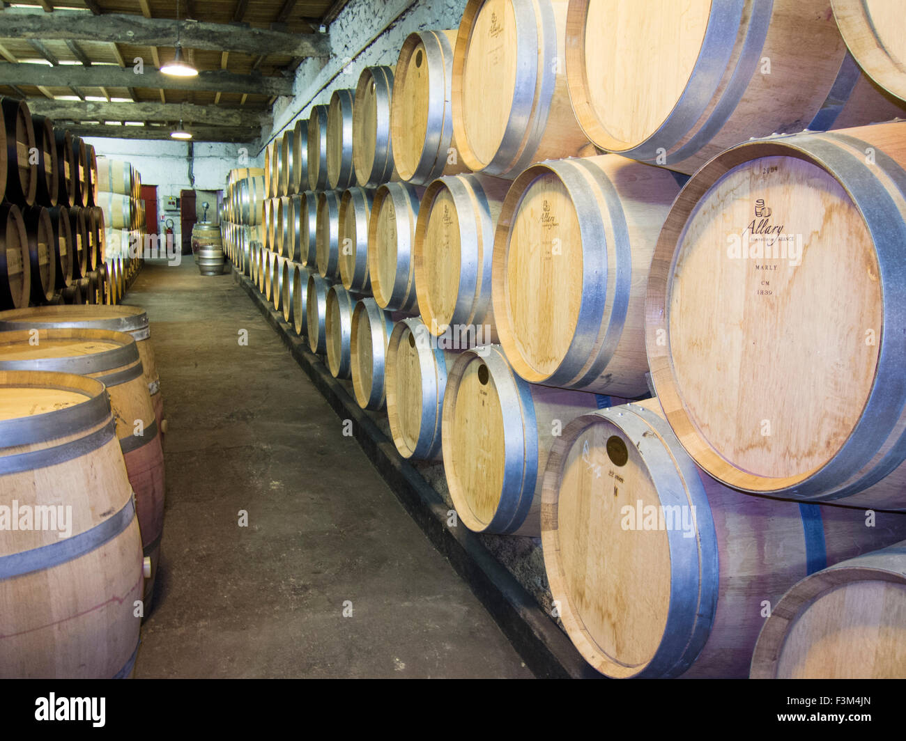 Wine cellar in the Bordeaux region of France Stock Photo Alamy