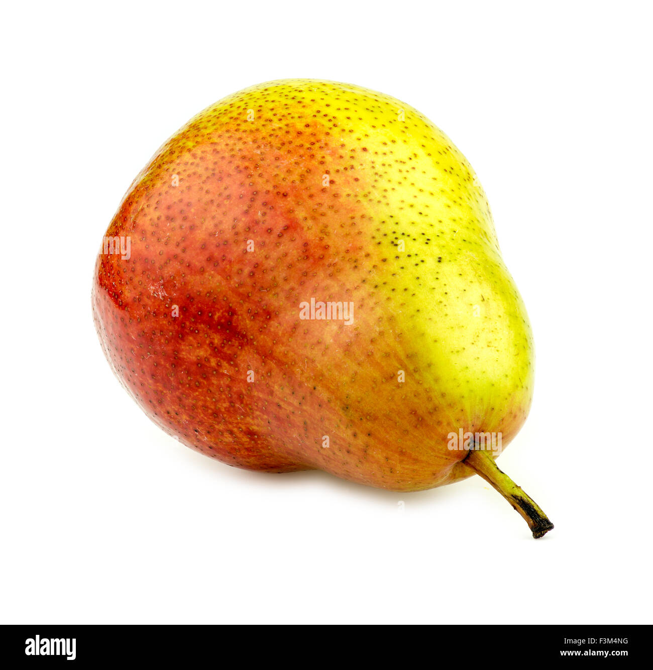 Tasty corella pear lying on its side Stock Photo