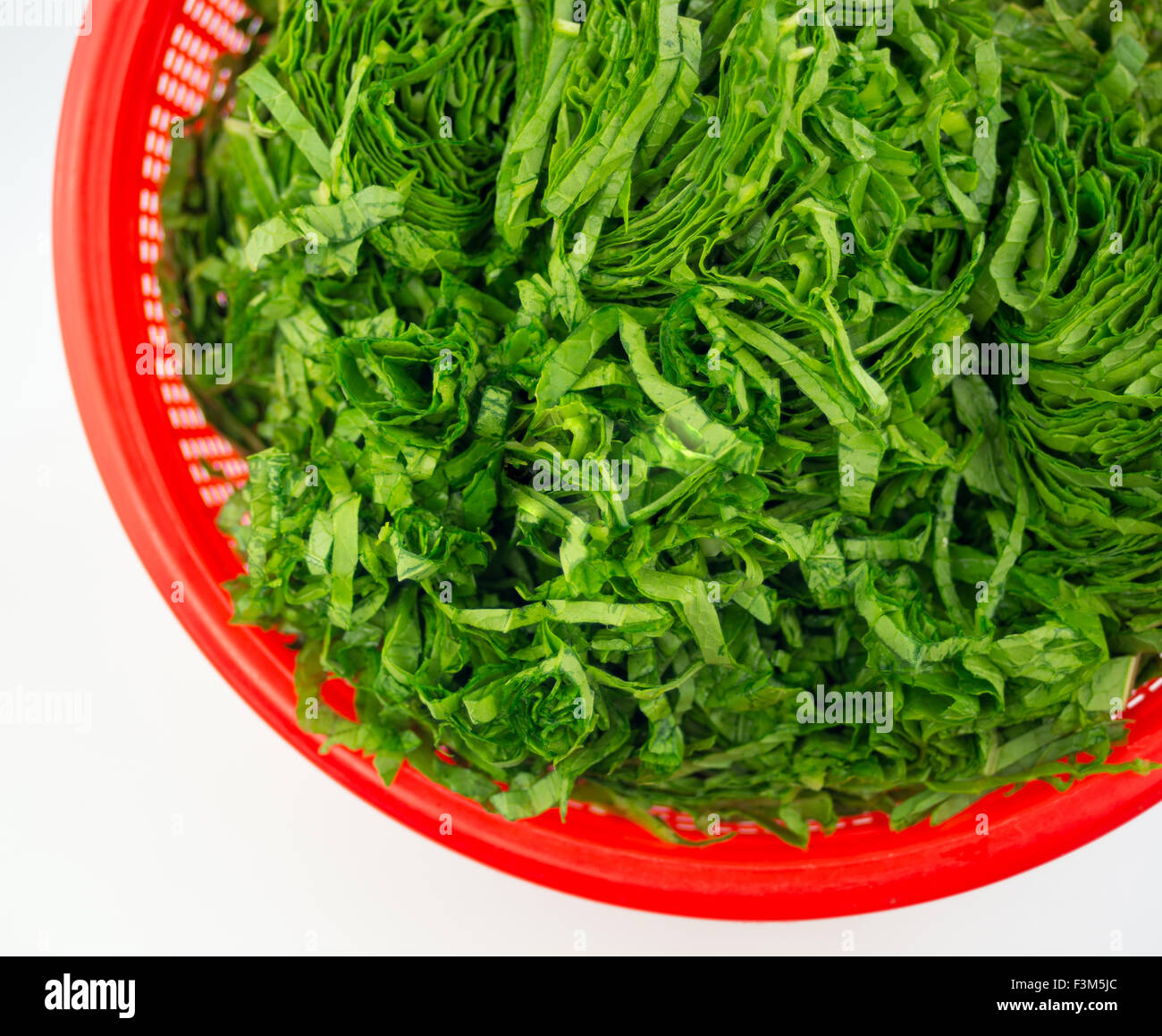 Cropped aerial view of freshly chopped mustard greens in a red plastic strainer isolated on a white background Stock Photo