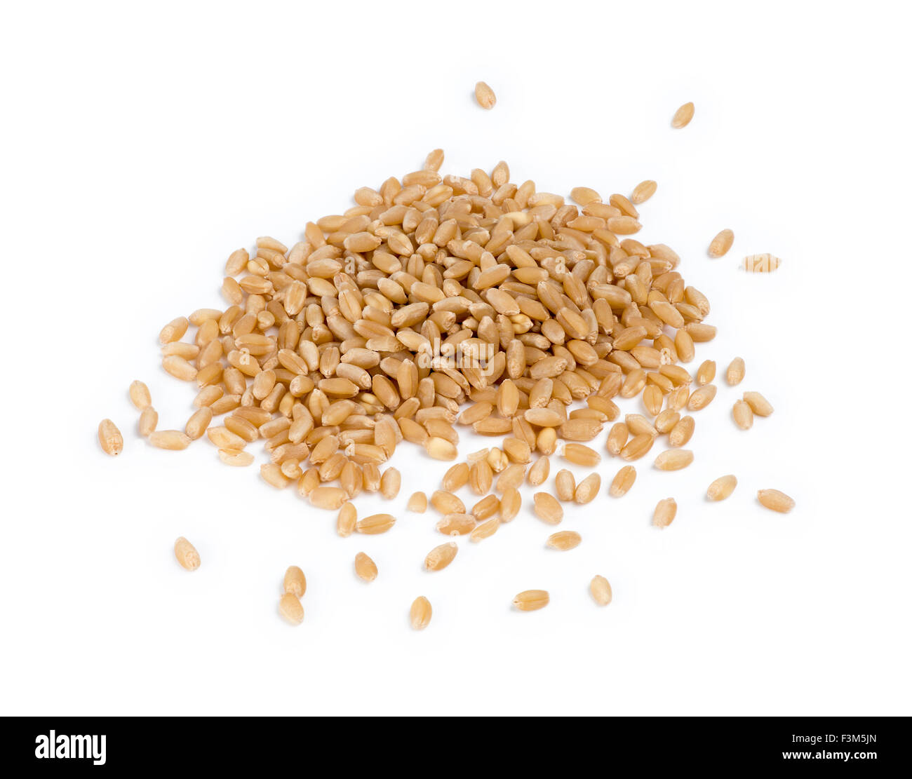 Closeup of a pile of wheatgrass seeds Stock Photo