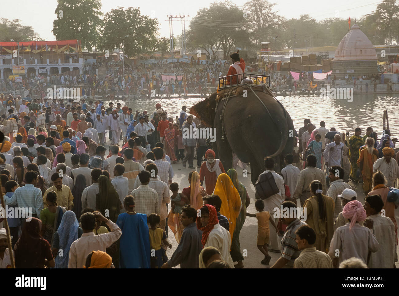Elephant passing through crowds of pilgrims on a bridge over the Shipra River, Simhastha Kumbh Mela 2004, Ujjain, Madhya Pradesh, India Stock Photo
