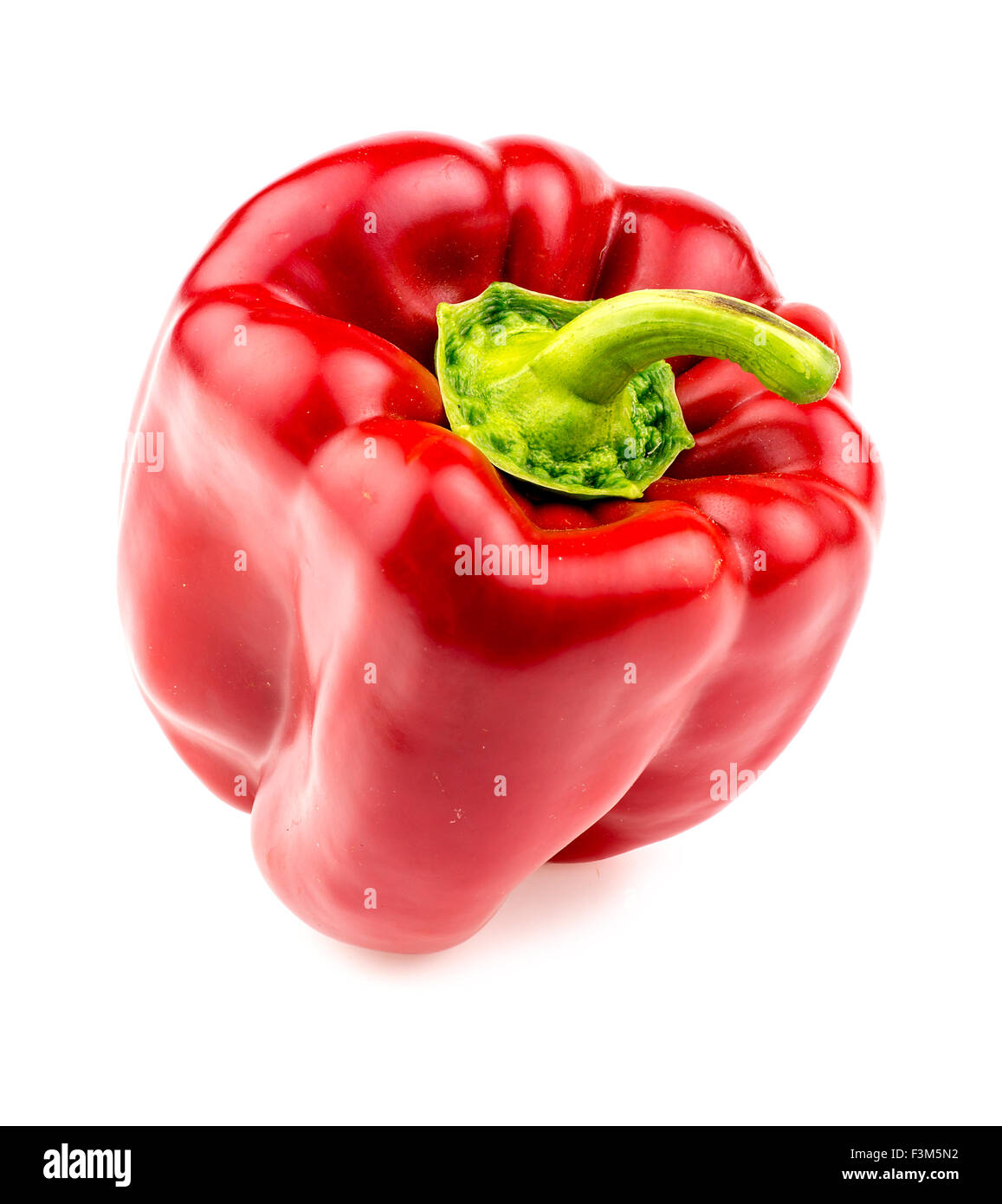 Plump hi-res stock photography and images - Alamy