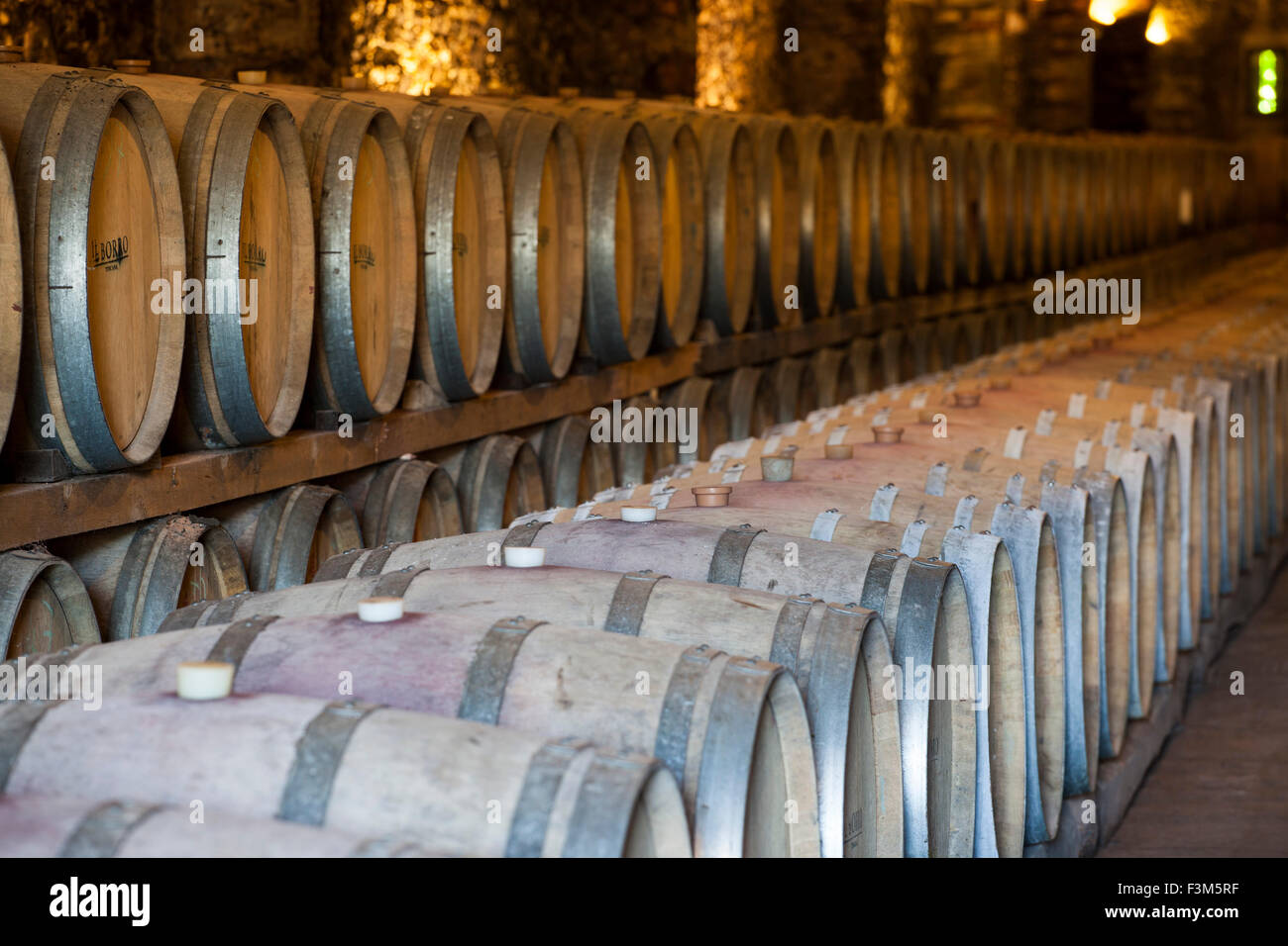 Wine cellars at Il Borro, agristurismo in San Giustino Val D'Arno, Tuscany, Italy Stock Photo