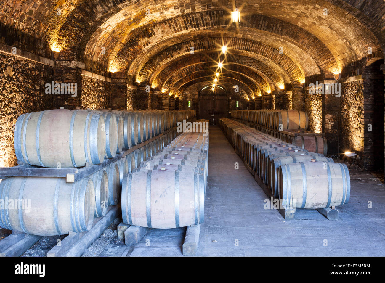 Il Borro, agristurismo in San Giustino Valdarno, Tuscany, Italy, the wine cellars Stock Photo