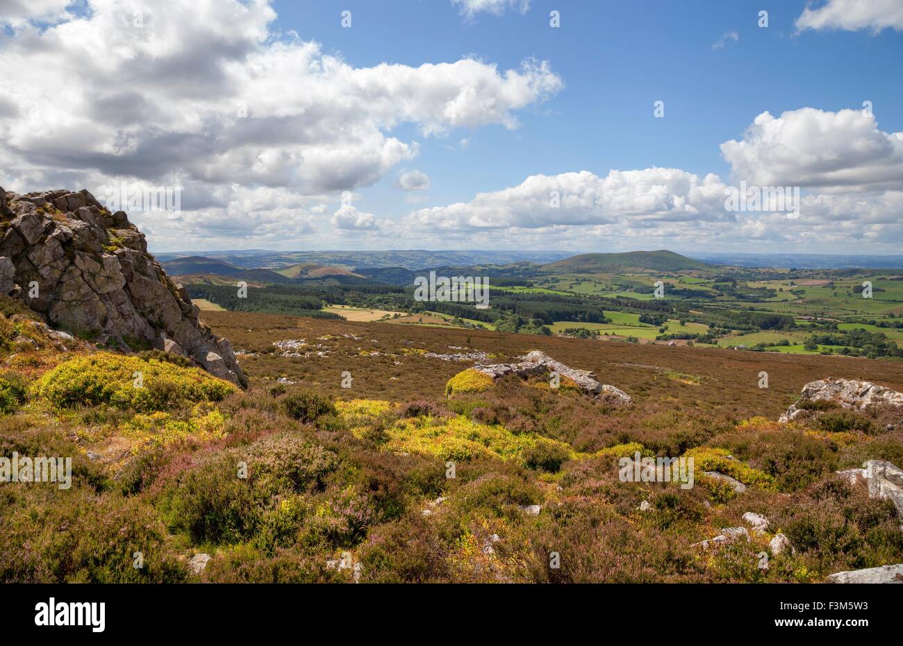 Shropshire heathland, England Stock Photo