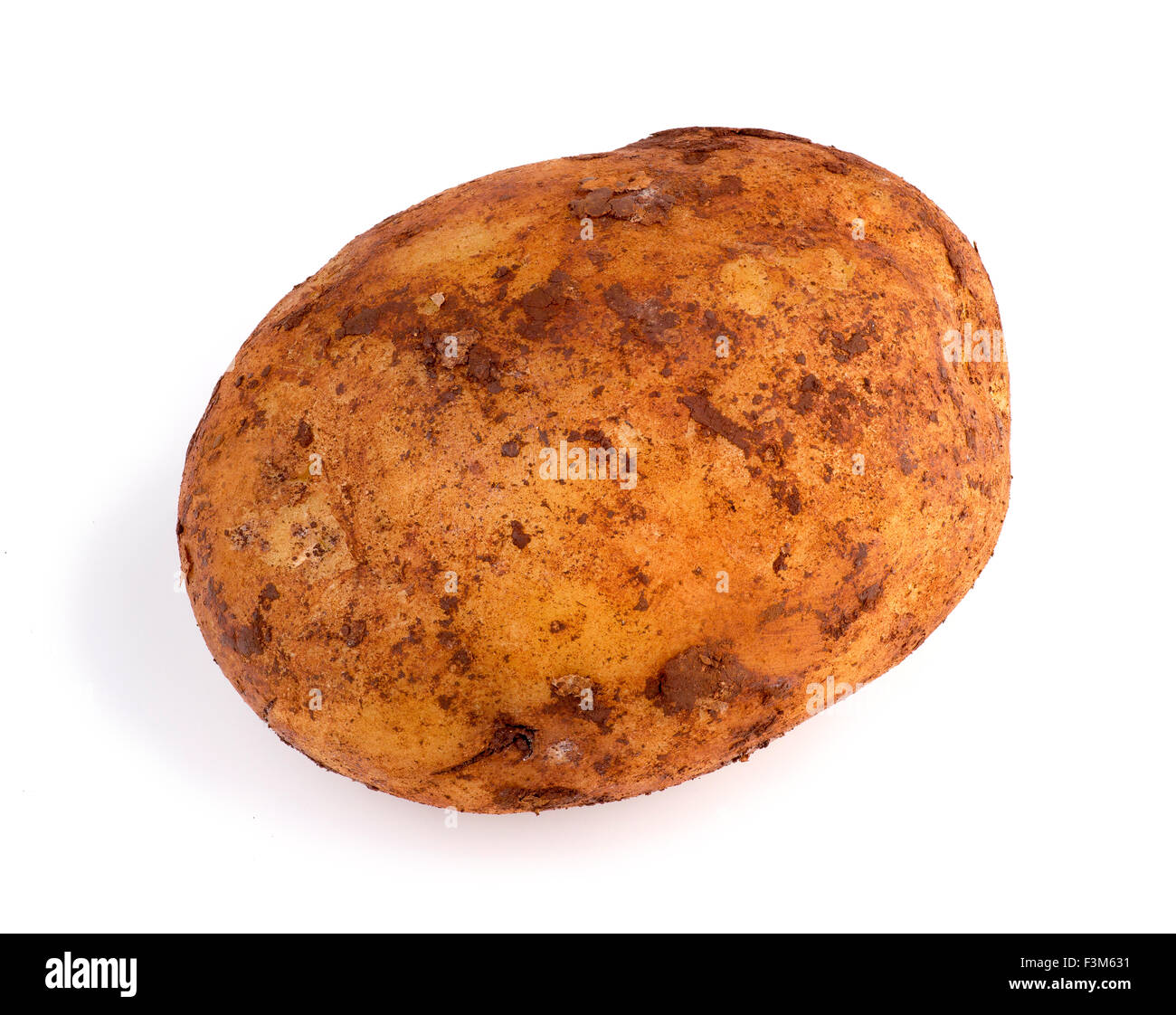 Closeup of dirty Australian organic russet potato Stock Photo Alamy