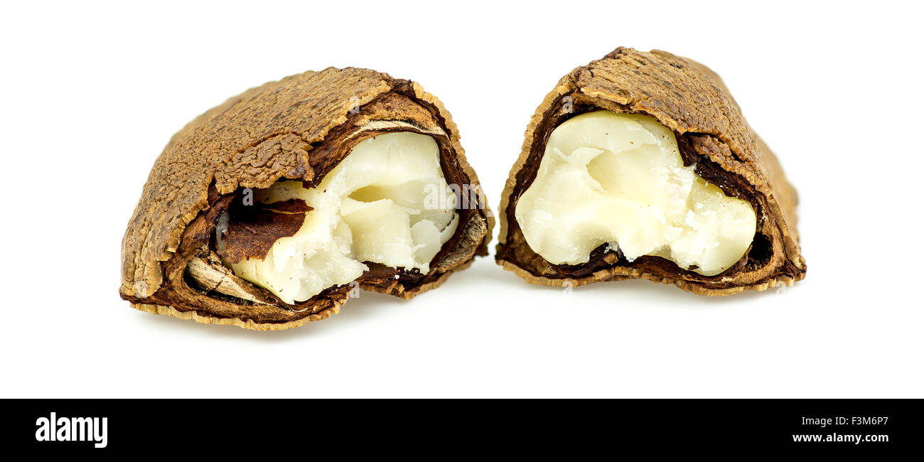 Half open brazil nut with shell and flesh Stock Photo
