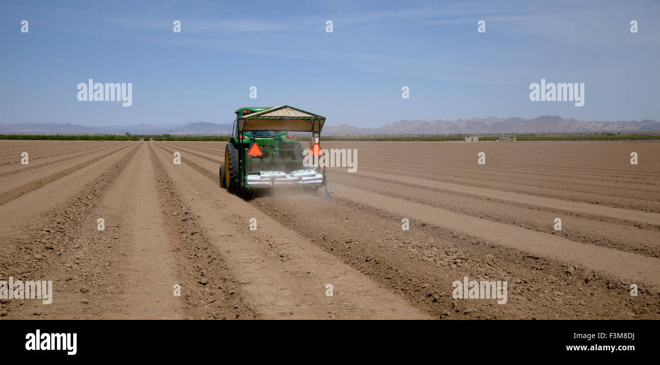 Field,Tractor,Weed,Coachella Valley Stock Photo
