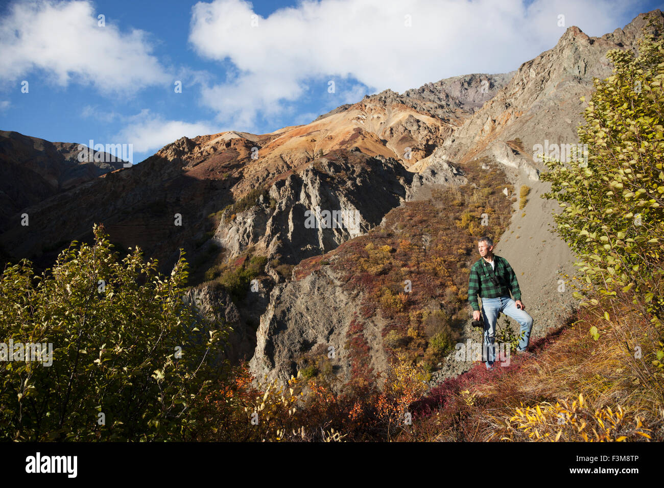 Man,Alaska,Sheep Mountain,Talkeetna Mountains Stock Photo Alamy