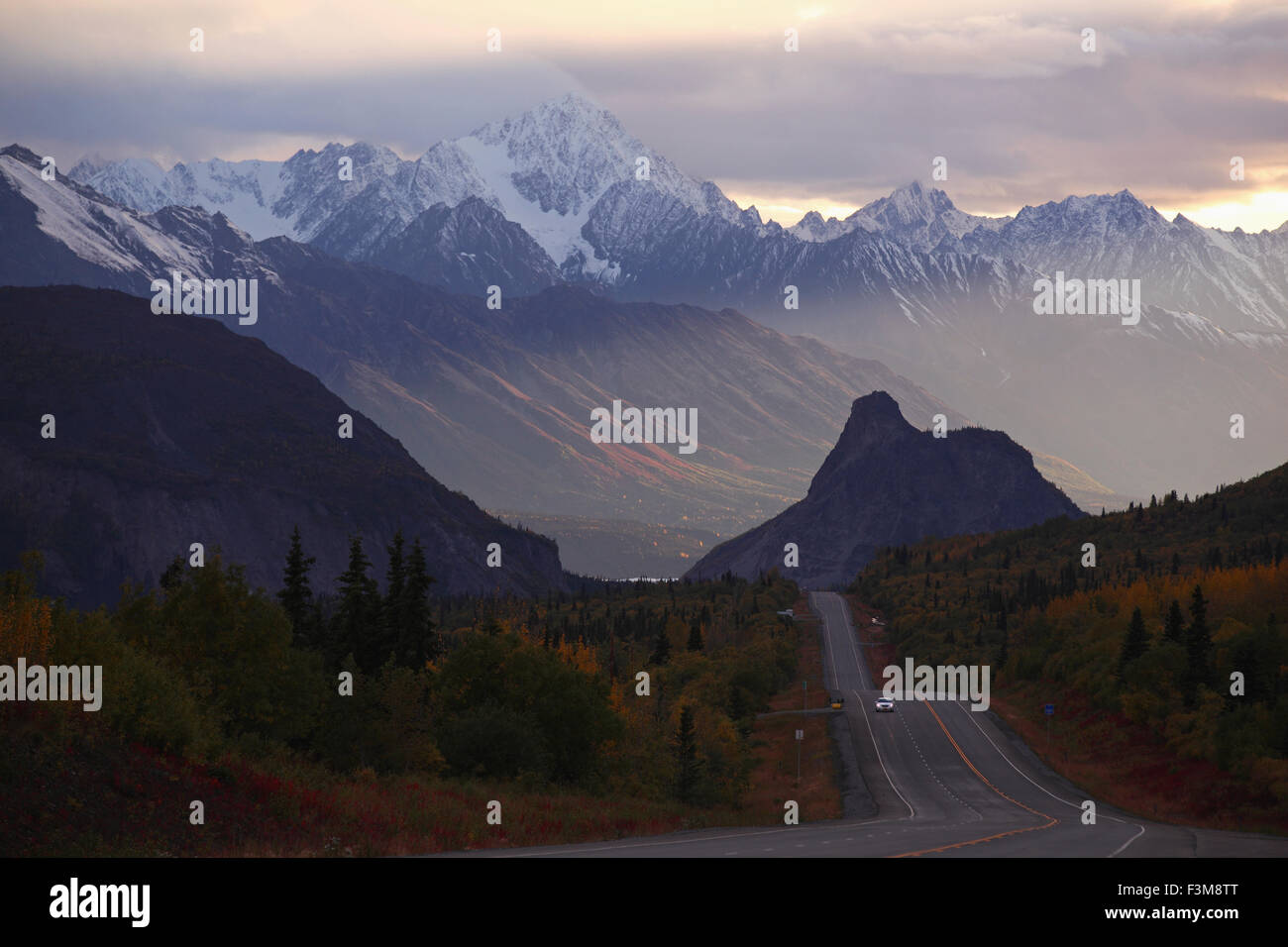 Lions head alaska hires stock photography and images Alamy