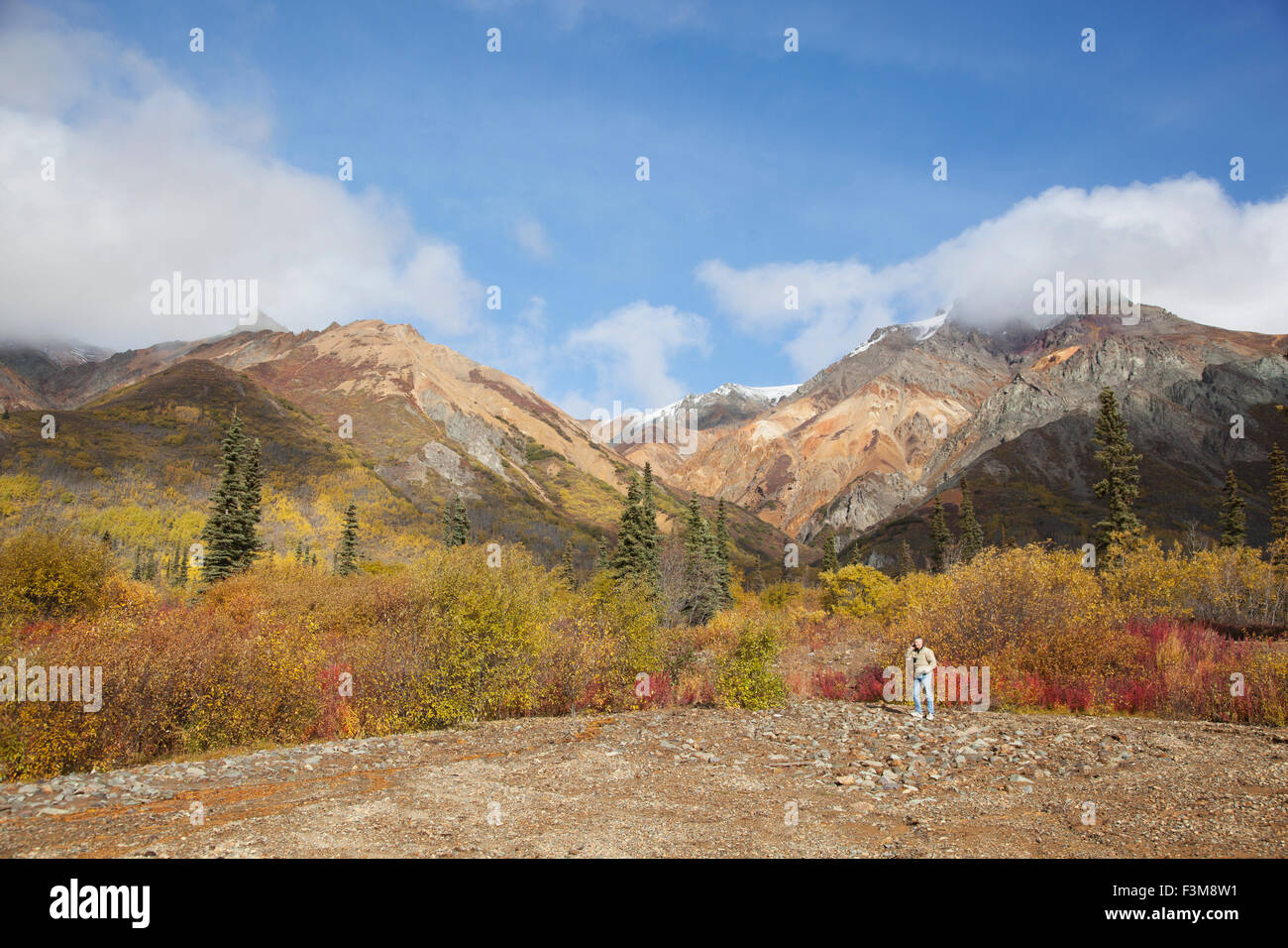 Man,Alaska,Sheep Mountain,Talkeetna Mountains Stock Photo Alamy