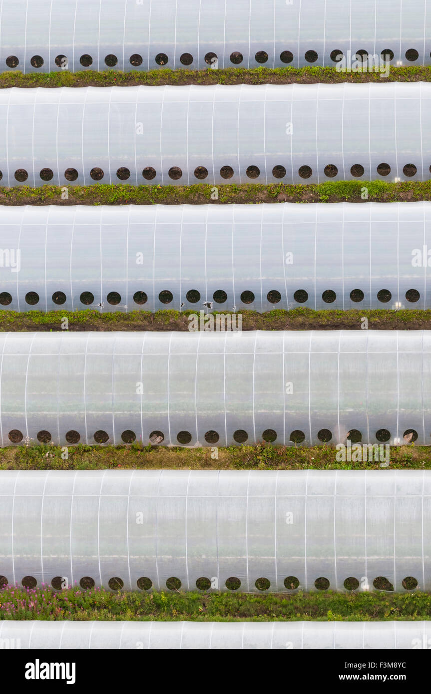 Aerial view of farm with greenhouses Stock Photo