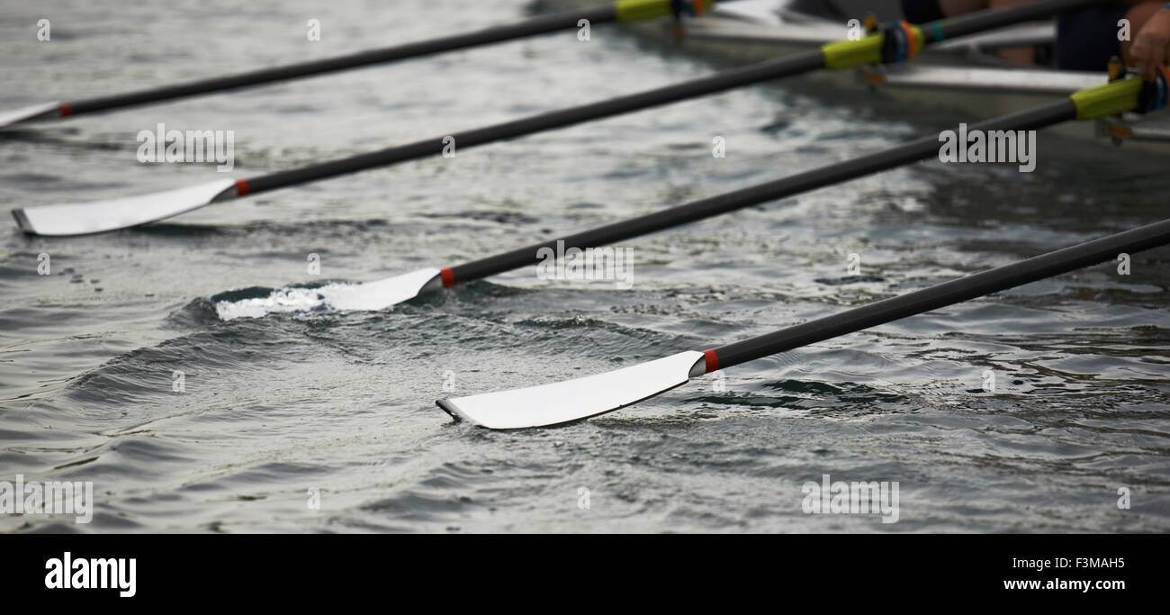 Canada,Racing,Ontario,Scull,Rowing,River Stock Photo