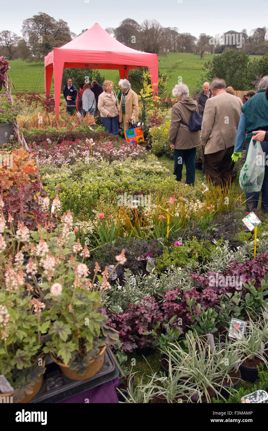 Cornwall Garden Society Spring Garden Show at Boconnoc,showing daffodils,camellias,rhododendrons