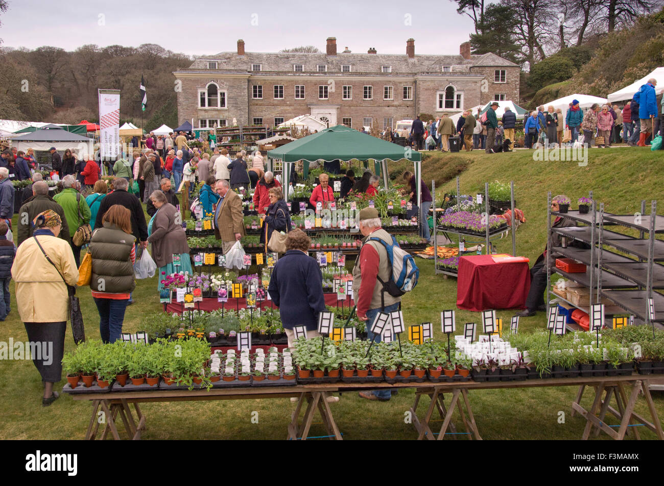 Cornwall Garden Society Spring Garden Show at Boconnoc,showing daffodils,camellias,rhododendrons