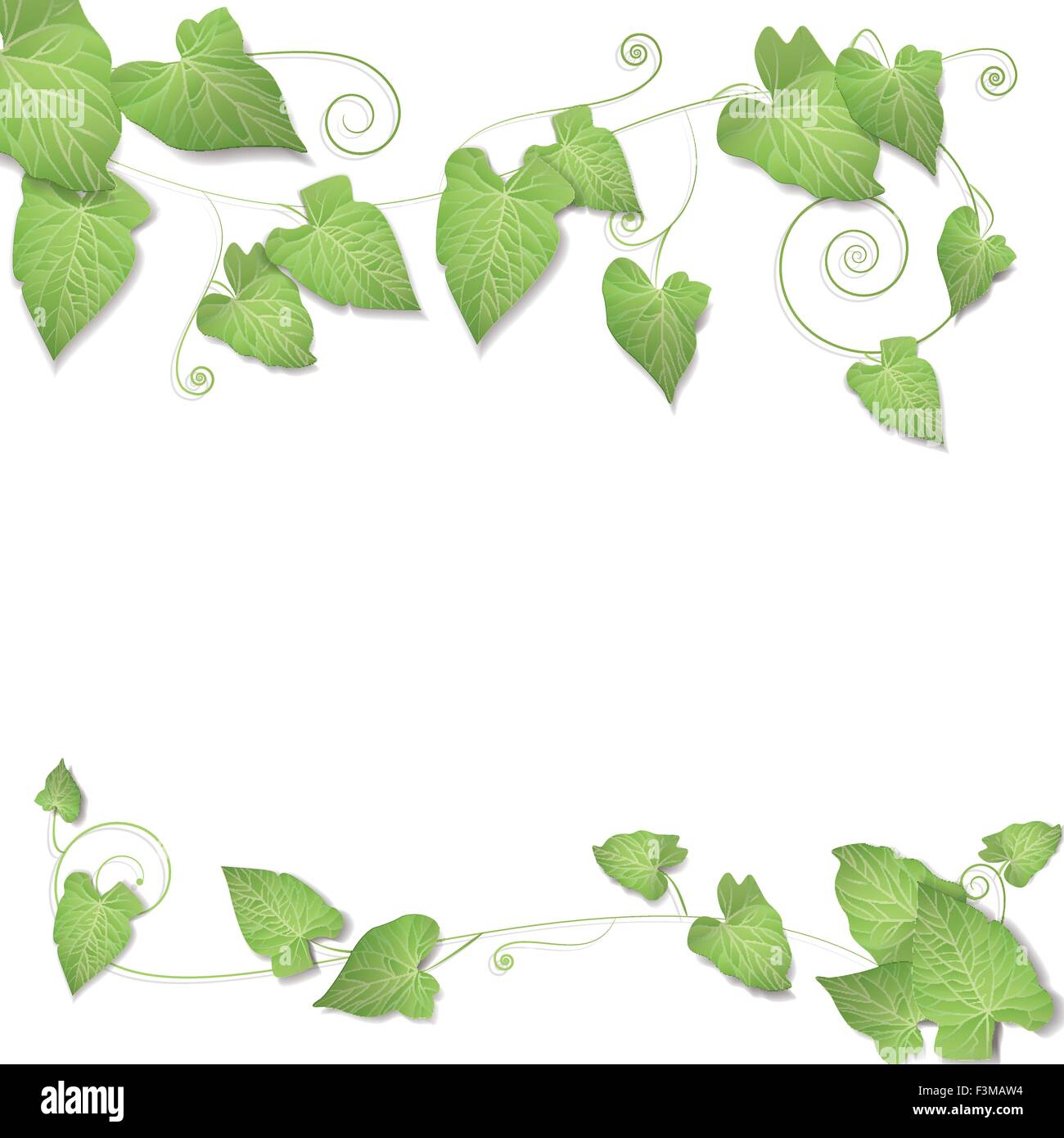 Green leaves line background Stock Vector Images - Alamy