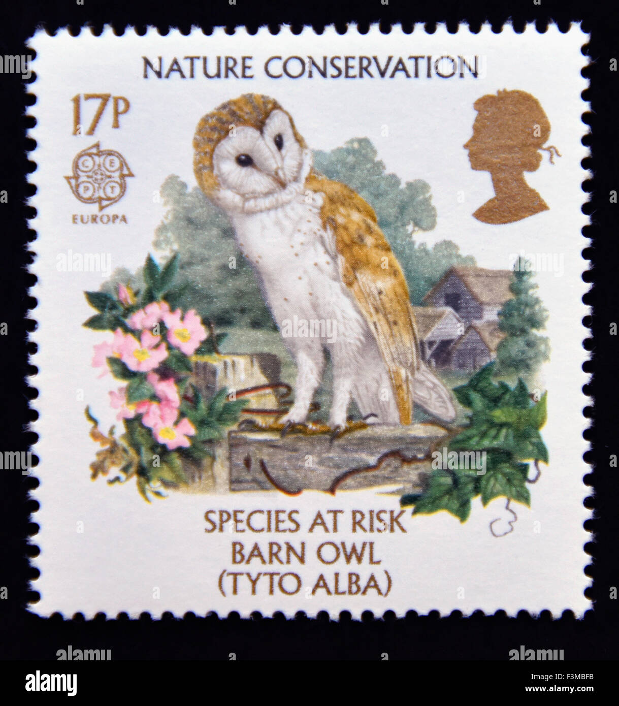 Postage stamp. Great Britain. Queen Elizabeth II. 1986. Europa Nature Conservation. Species at Risk. Barn Owl. 17p. Stock Photo