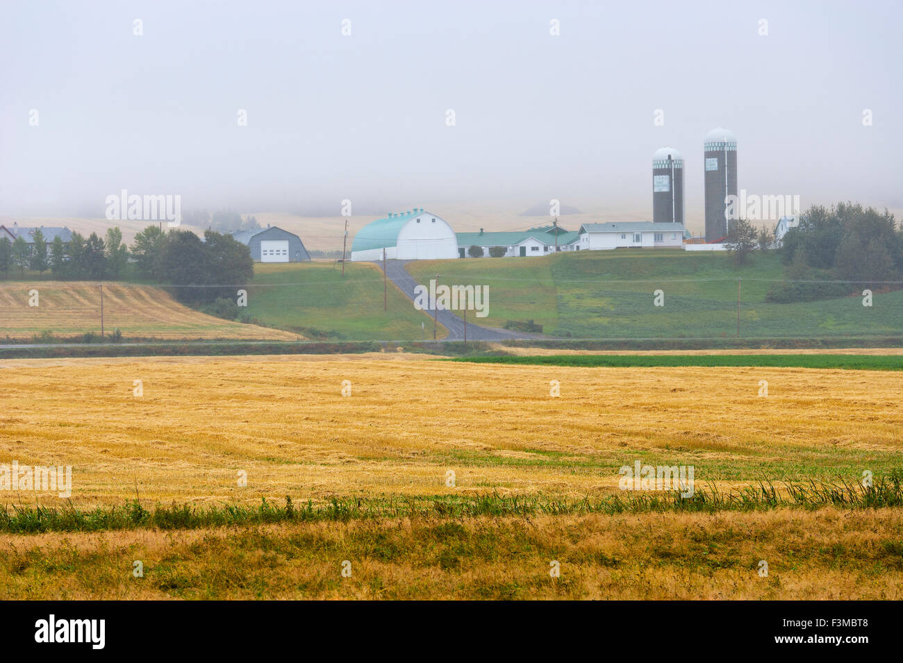 Field,Farm,Bas-Saint-Laurent,Rural,Mont-Joli Stock Photo