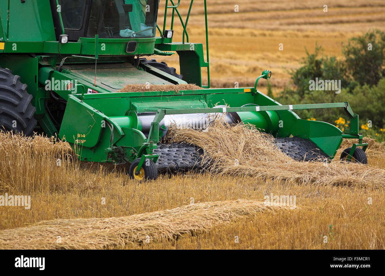 Canada,Wheat,Combine Harvester Stock Photo