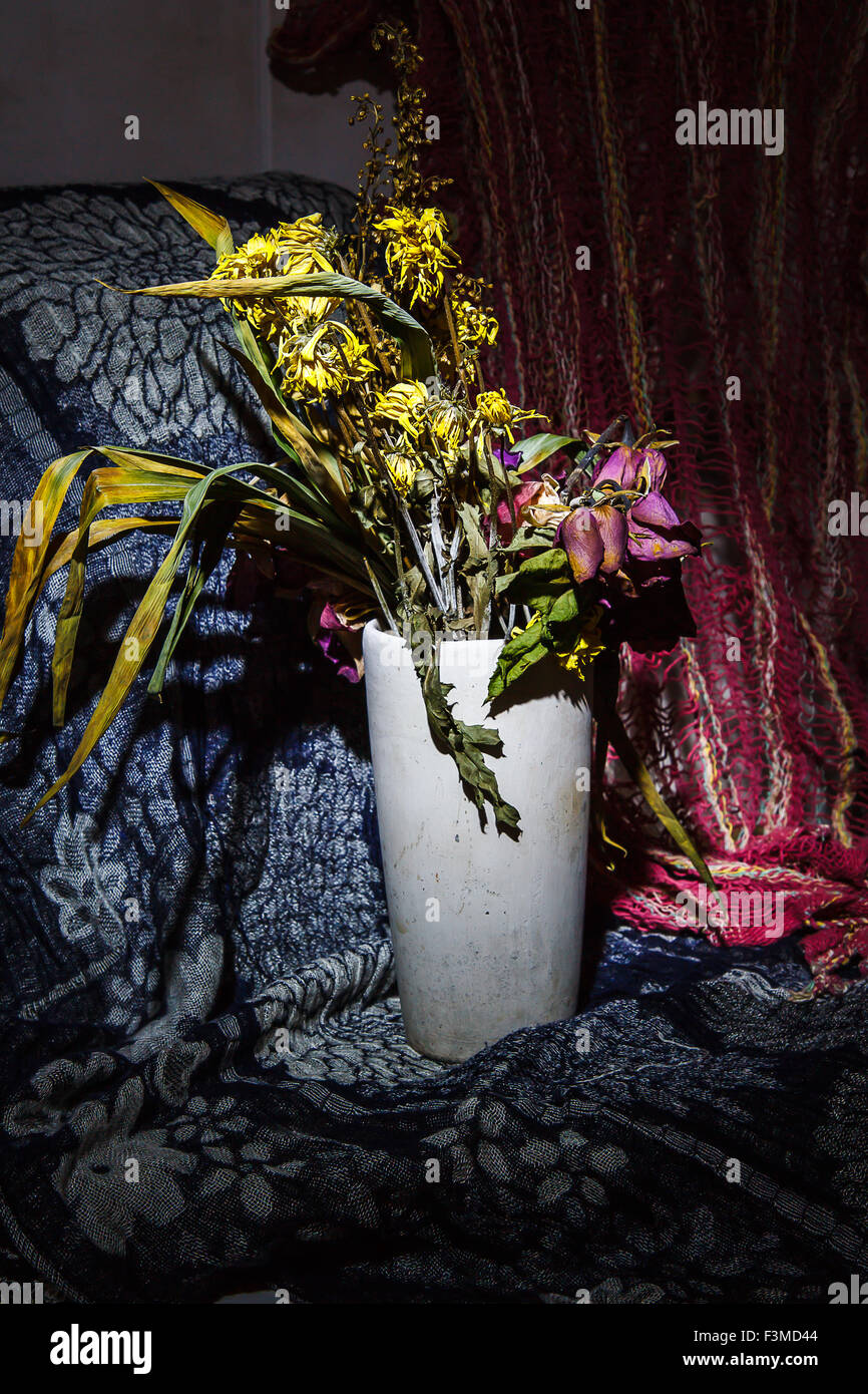 Dry flowers still life Stock Photo Alamy